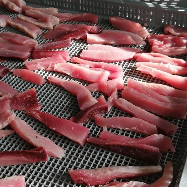 画像2: 【漁獲量9年連続日本一】銚子港で獲れた『ペット用お魚ジャーキー』サメ肉サイコロ (2)