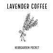 画像1: 【新商品】ラベンダーコーヒー【ラベンダー珈琲】ディップスタイルバッグ×５Pセット＊メール便可 (1)